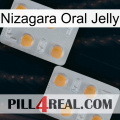 Nizagara Oral Jelly 25